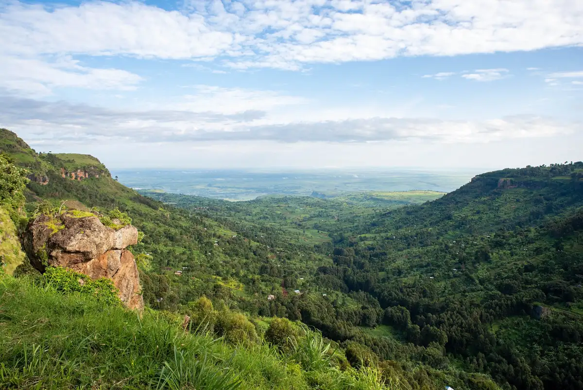 Groene vallei onder een steile rotswand in Karamoja, onder een heldere lucht