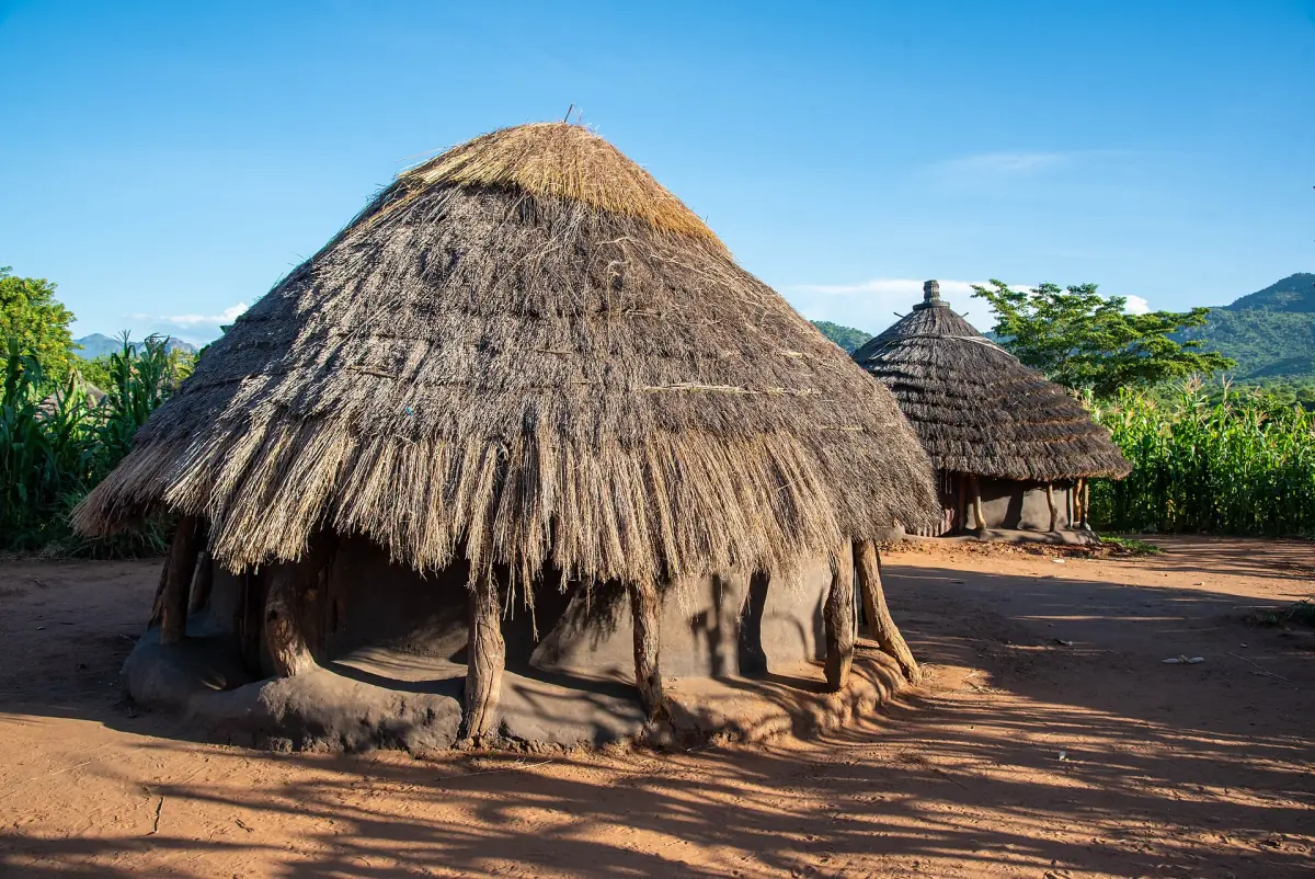Thatched mud and grass manyatta huts in a Karamojong homestead