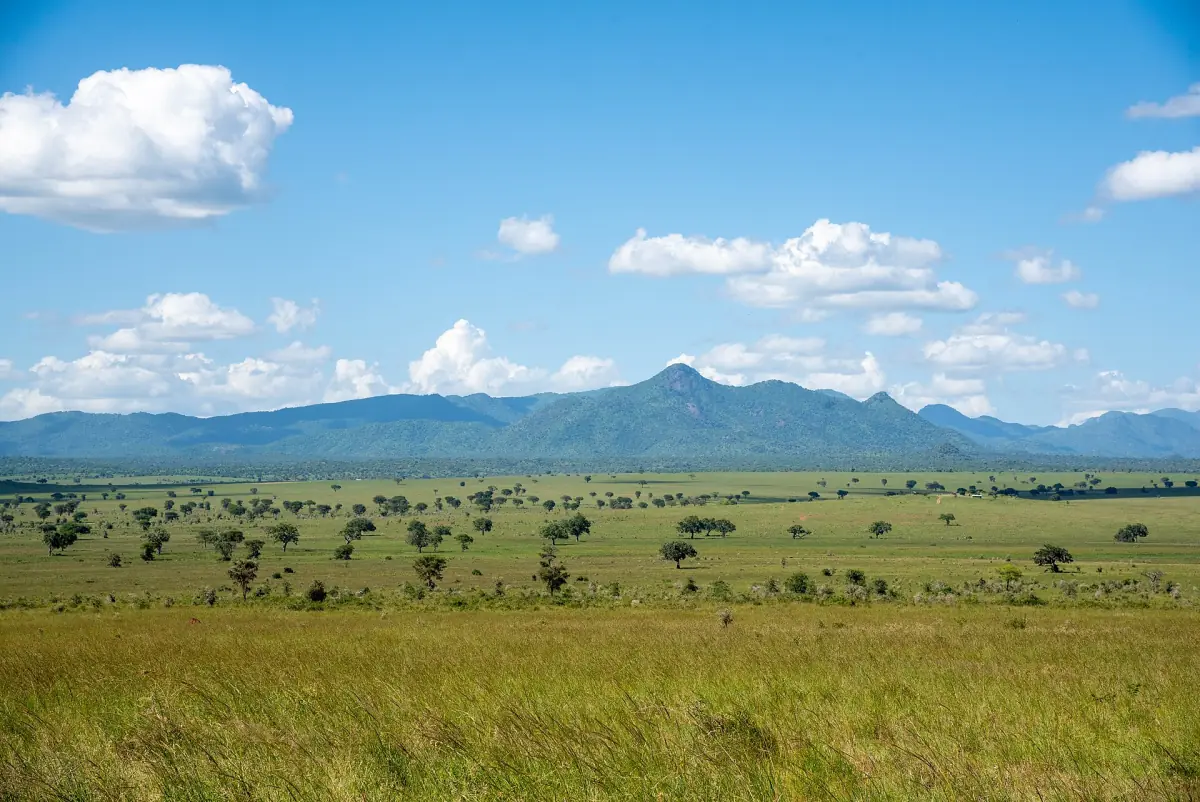 Mountain range rising above the grassland of Kidepo Valley National Park
