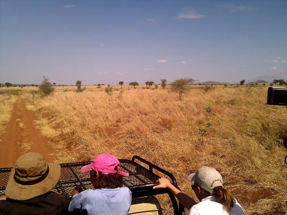 Open safari vehicle on a grass track with visitors looking over the savanna
