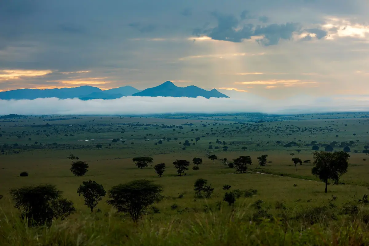 View over the Kidepo savanna with morning mist and distant mountains